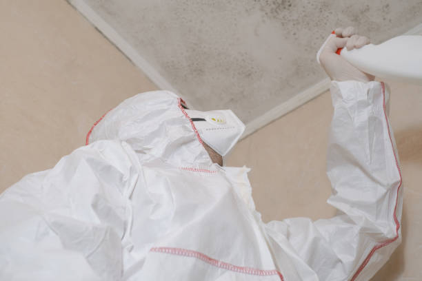 Best Mold Remediation for Specific Building Types in Amboy, WA